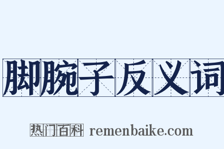 脚腕子反义词是什么意思的图片